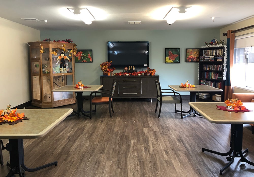 Lounge area with a television and bird aviary.